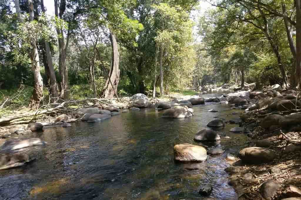 Chinnar Wildlife Sanctuary