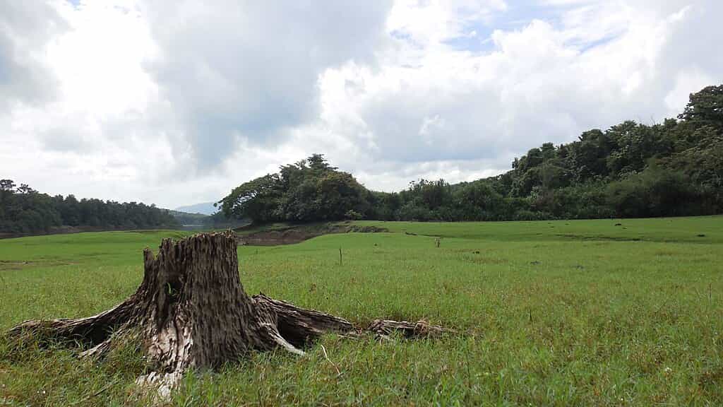 Thattekad Bird Sanctuary