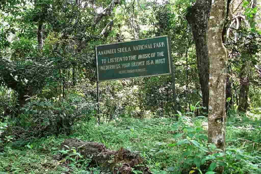 Anamudi Shola National Park 