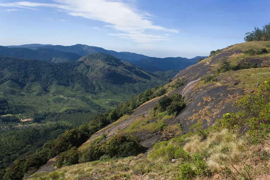 Best National Parks in Kerala, Eravikulam National Park