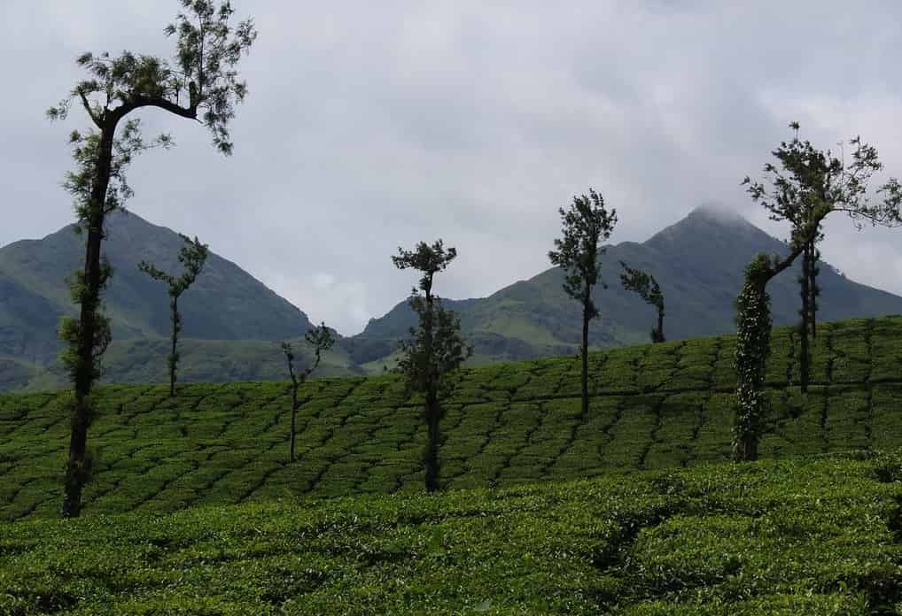 Wayanad, Kerala