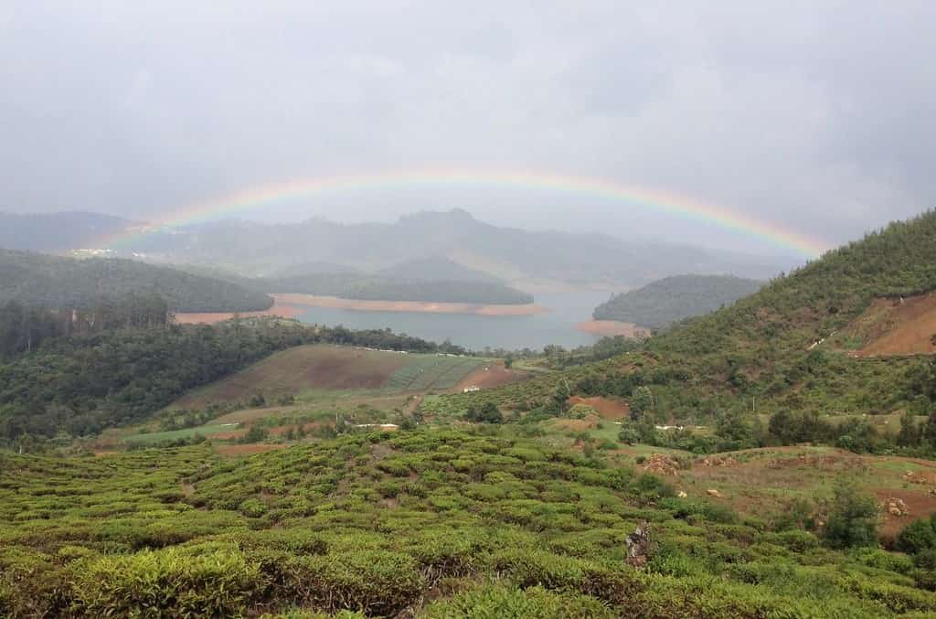Ooty, Tamil Nadu 